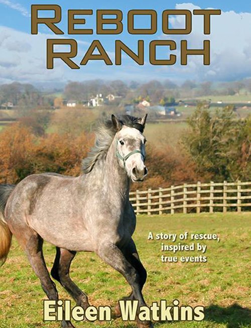 Reboot Ranch