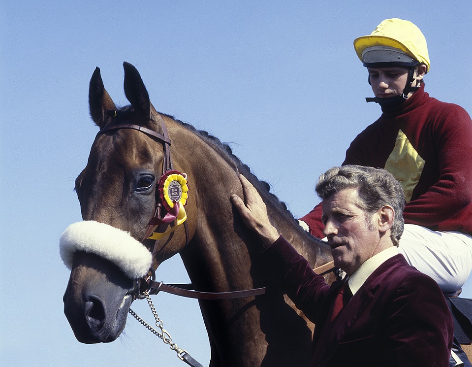 Red Rum - Race Horse