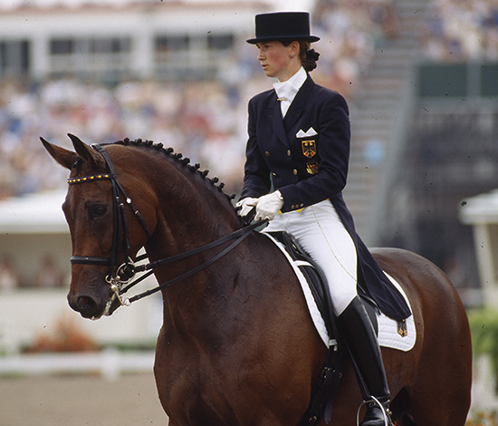 Rembrandt-Dressage-Horse