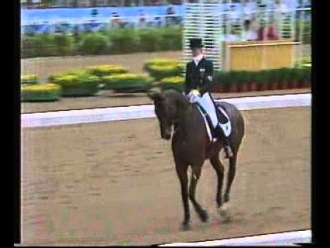 Dressage Horses - Rembrandt