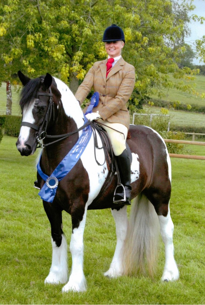 Ridden Coloured Cob Class Royal Welsh Horse Show