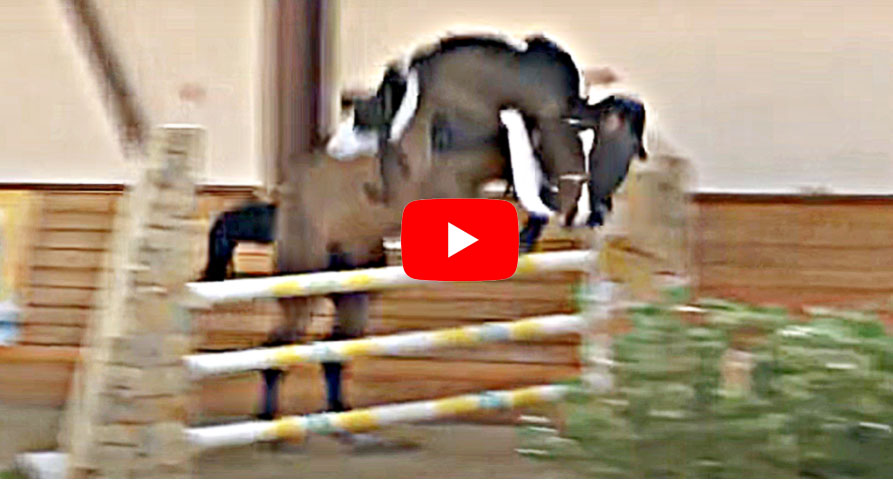 Rider Falls Off BUT Horse Finishes Competition On Its Own