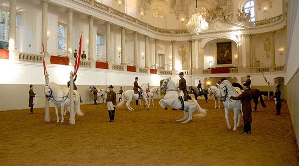 Rider Training At The Spanish Riding School