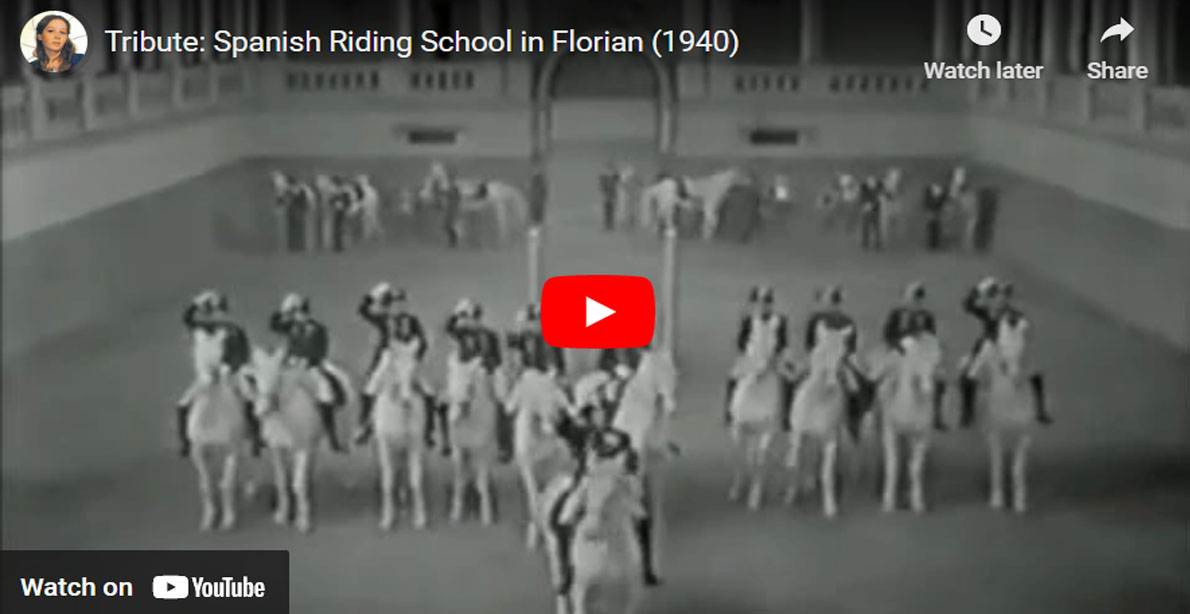 Tribute - Spanish Riding School in Florian (1940)
