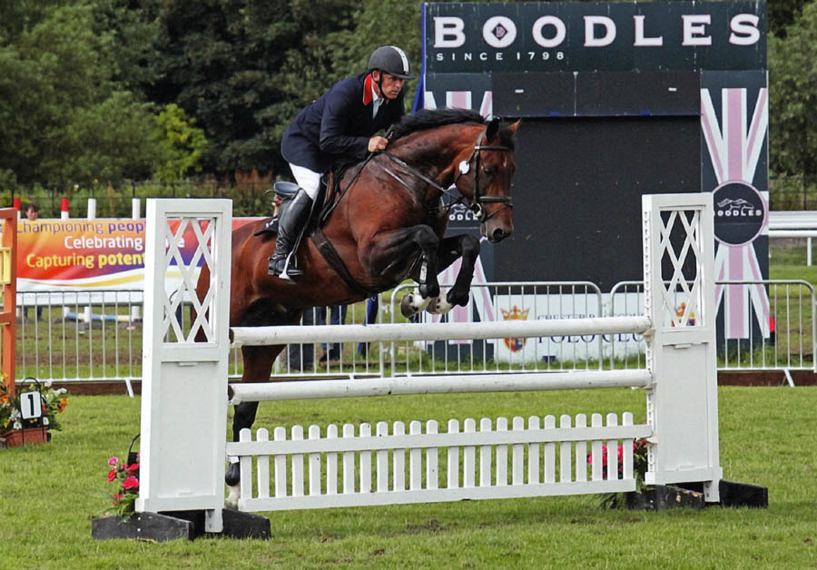 Young Stallion Arturo 9 & Robert Bevis - Chester Horse Show (Newcomers)