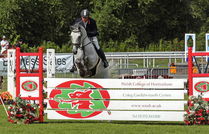 Chester Horse Show - Robert Bevis & AES Stallion Crocodile Dundy Z