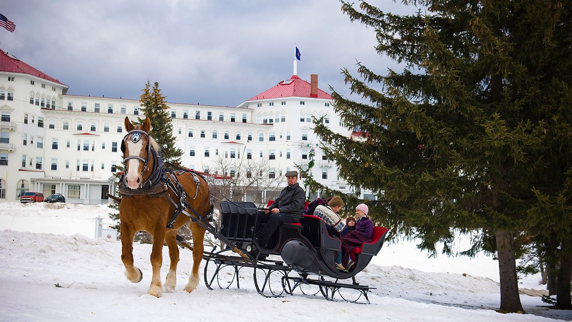 Romantic Evening Sleigh Ride With A Gorgeous Belgium Horse
