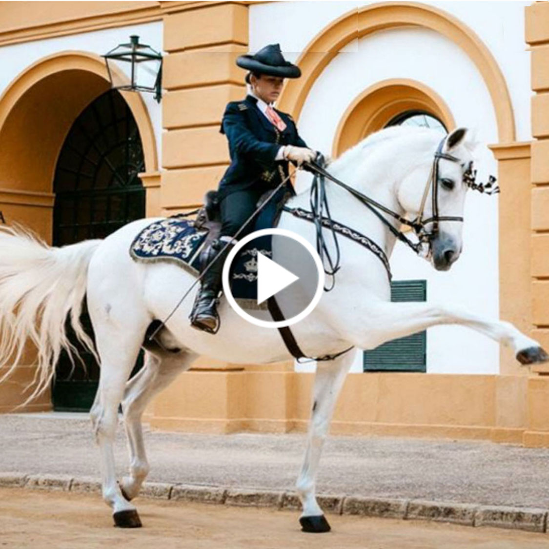 Royal Andalusian School of Equestrian Art