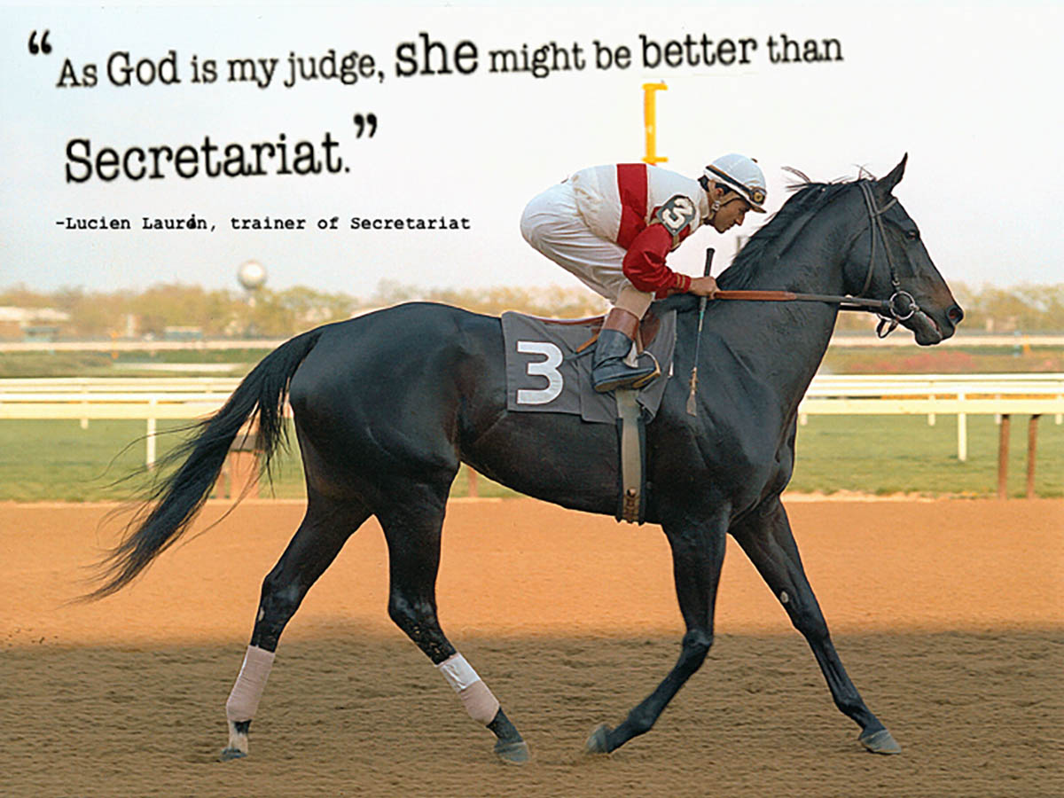 Ruffian The Queen Of Fillies - The Reminder Of The Tick Line Between Tragedy And Triumph