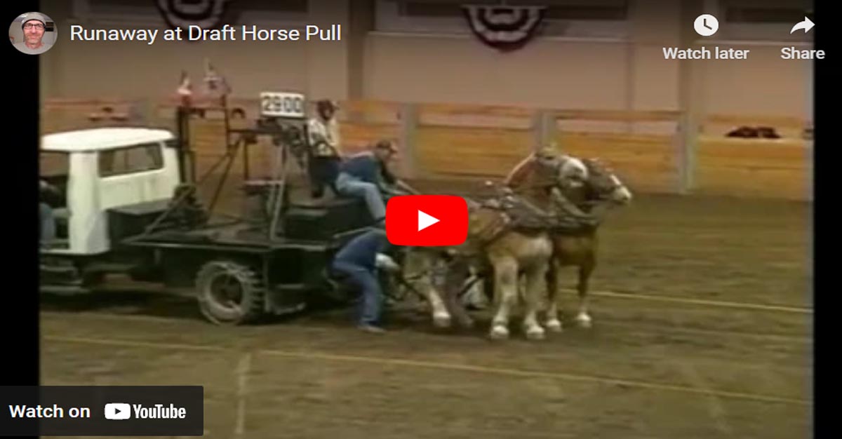 Runaway Horses at Draft Pull