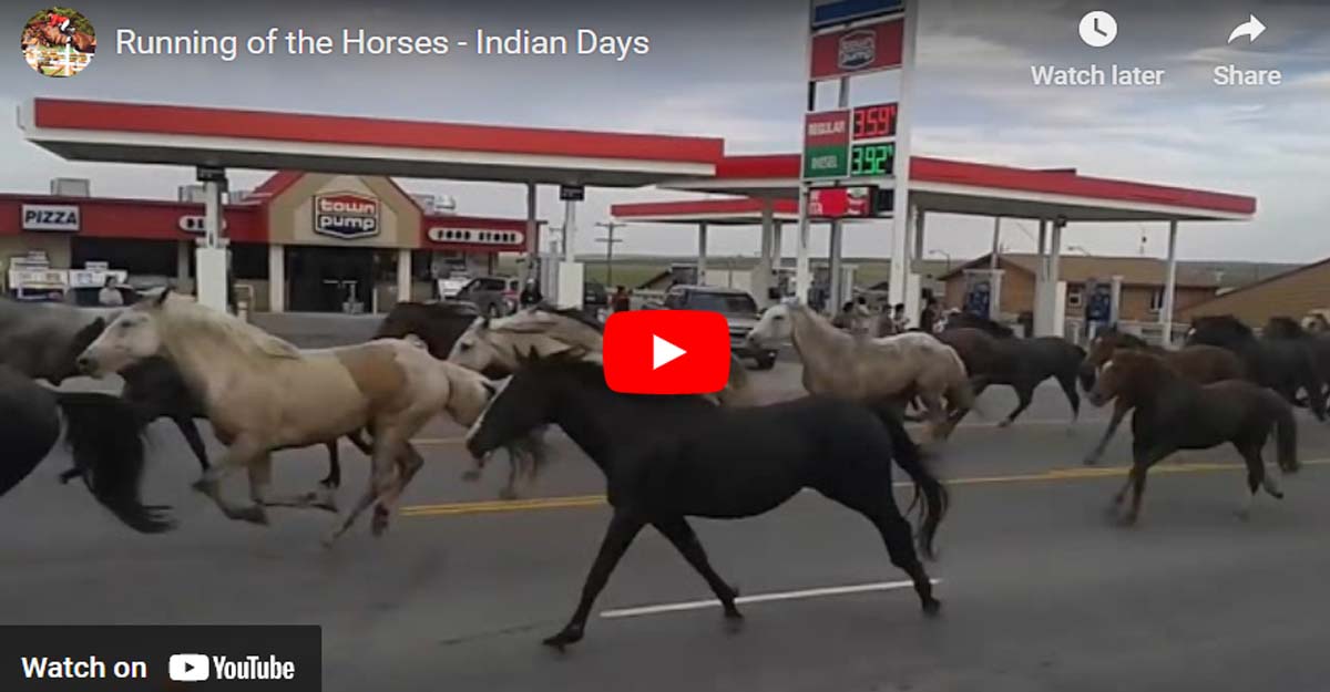Running of the Horses - Indian Days