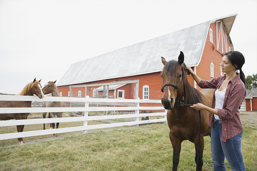 S & S Stables - Horse Boarding