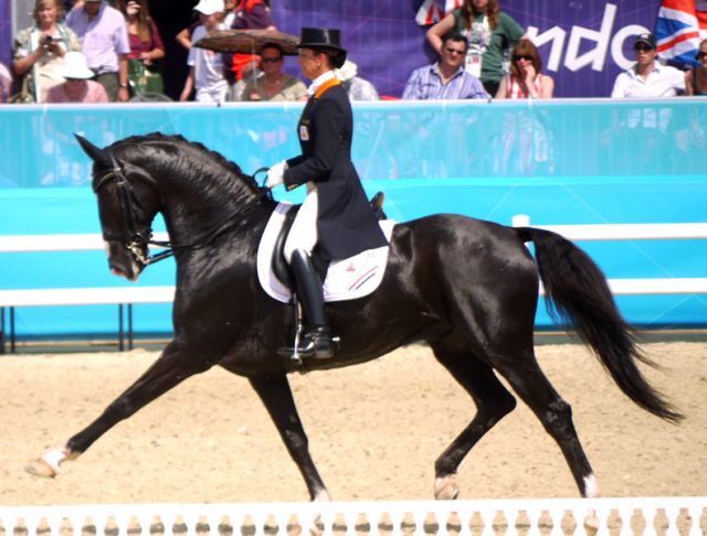 Salinero Dressage