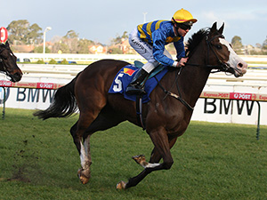 Scenic Blast was a succesful racehorse