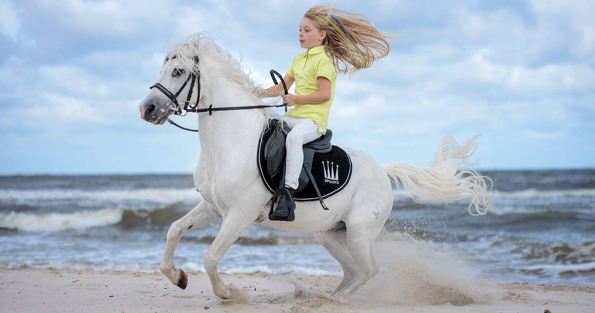 Seaside Horse Rides