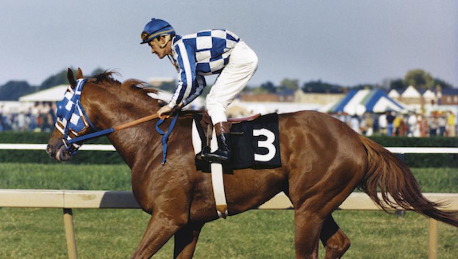 secretariat - Preakness Stakes