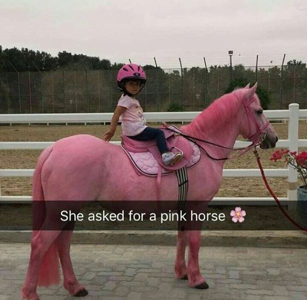 She Asked For A Pink Horse