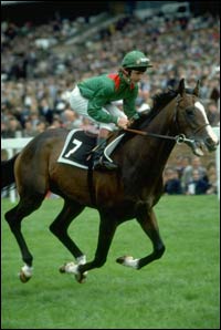 Shergar