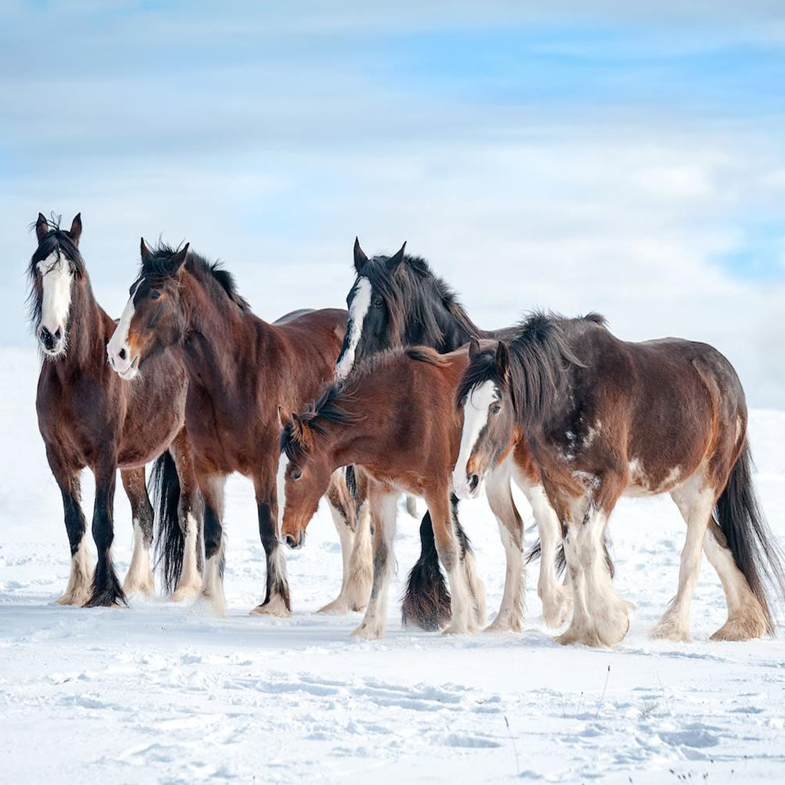 Bjorn Serfas Fotografie