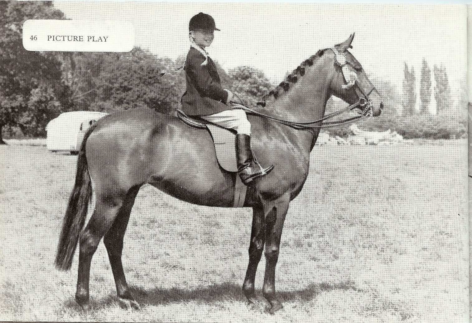 Picture Play - TB foundation mare at Harroway Stud