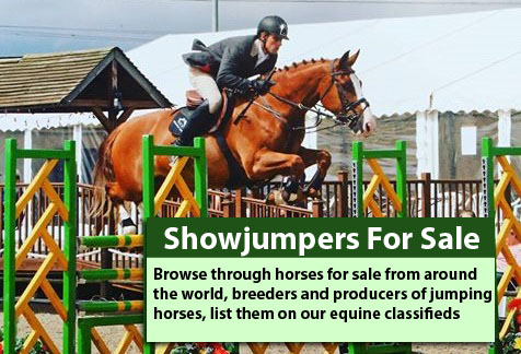 Showjumping Horses For Sale