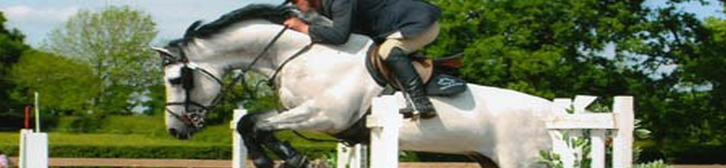 Showjumping Results