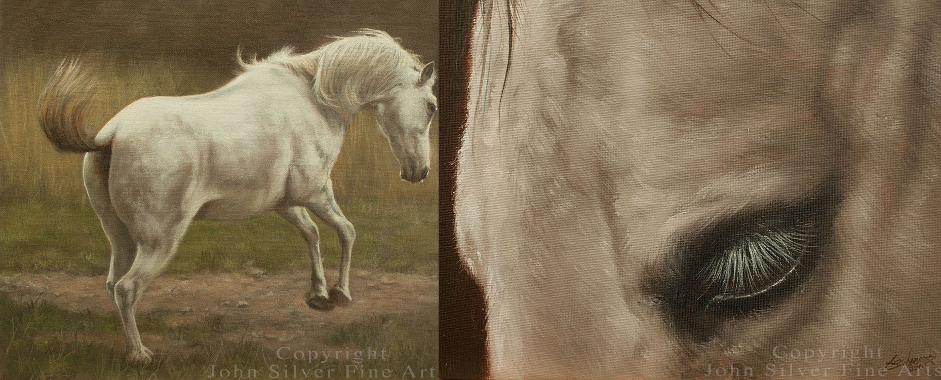 Shropshire Equestrian Artist John Silver, Horse Oil Paintings On Canvas