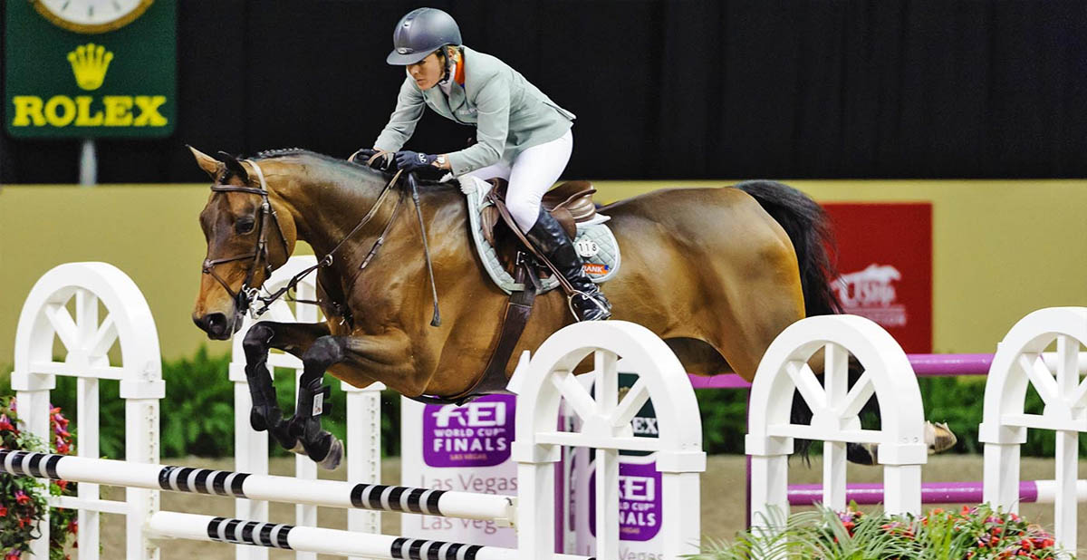 Shutterfly - Showjumper