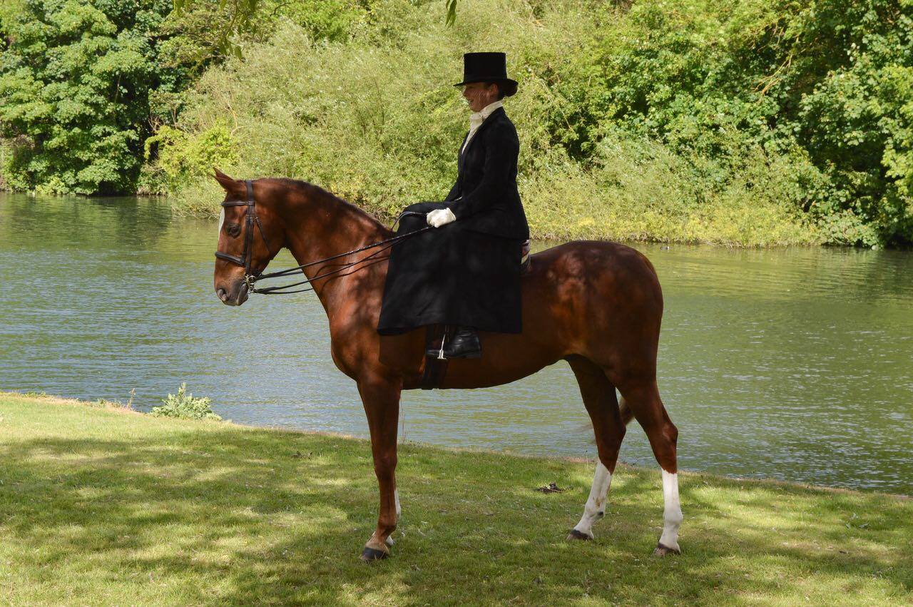 Ben Maher Stableexpress