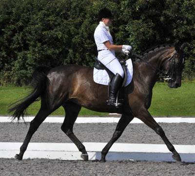 Dressage Rider Samantha Morrison