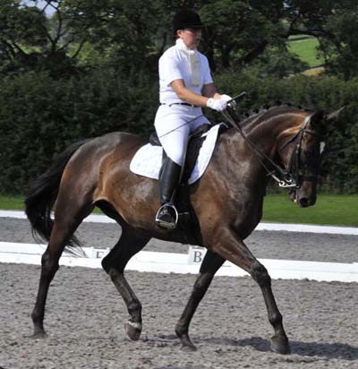 Samantha Morrison - Dressage Rider