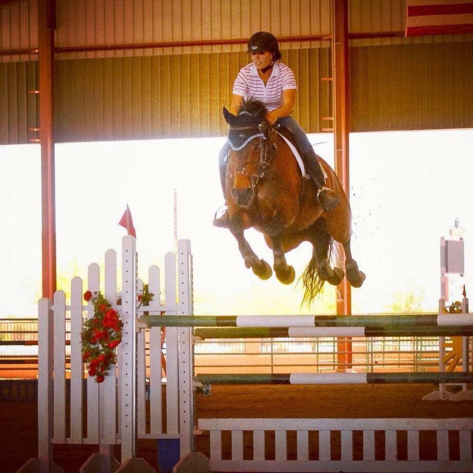 Silver Mesquite Equestrian