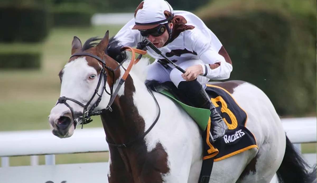 Silvery Moon - The Striking Ovrero Race Horse Winner