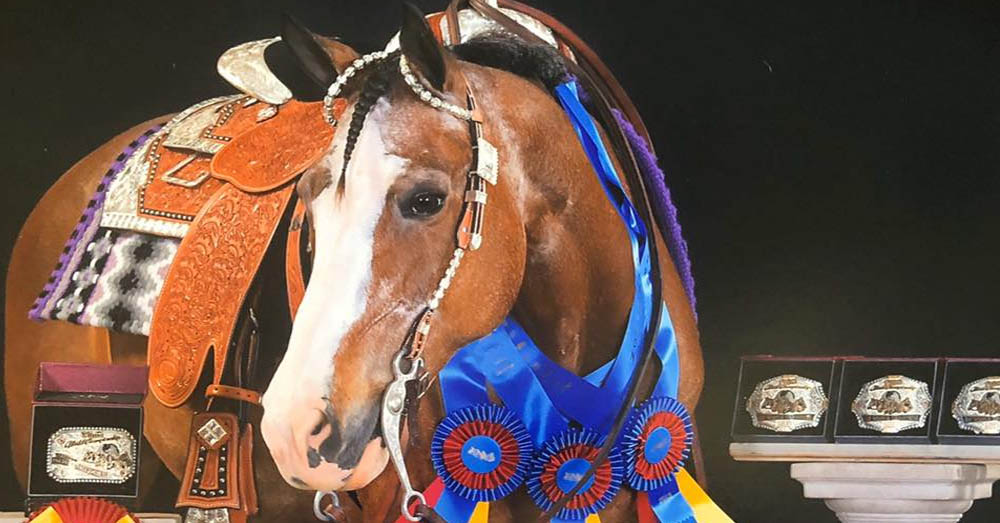 Mistreated Horse Becomes A Champion - Inspirational Story