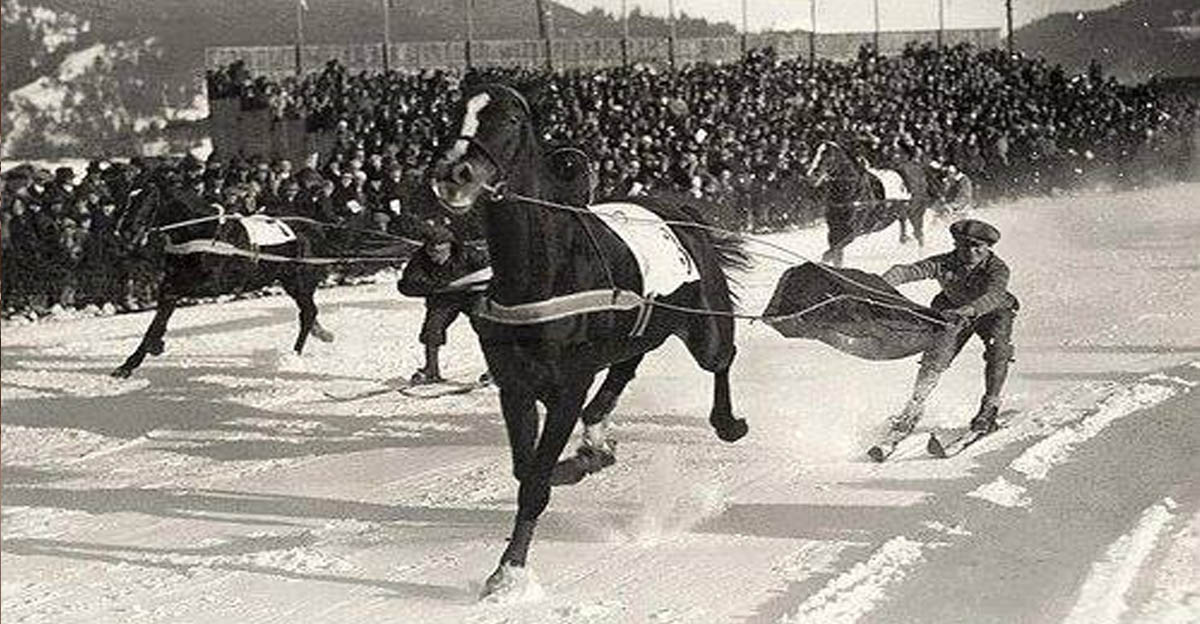Skijoring at the 1928 Winter Olympics