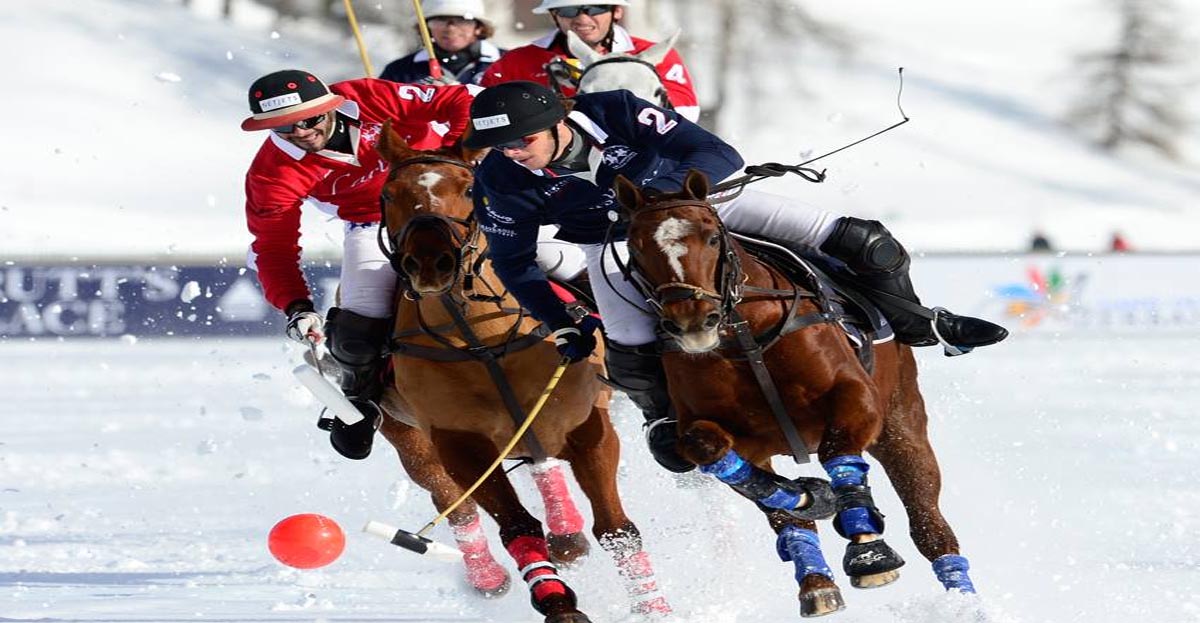 Snow Polo