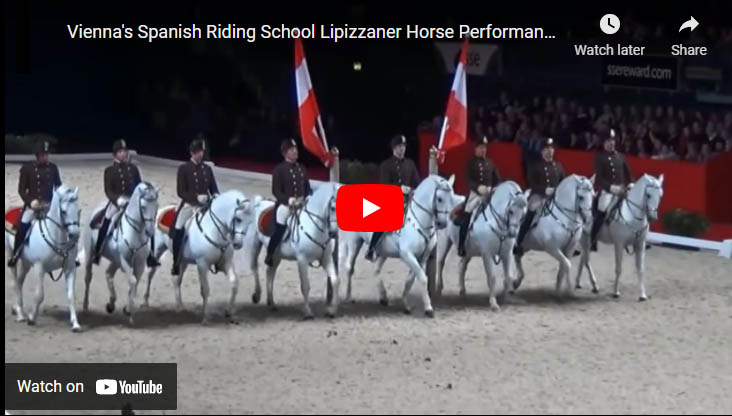 Vienna`s Spanish Riding School Lipizzaner Horse Performance Wembley London