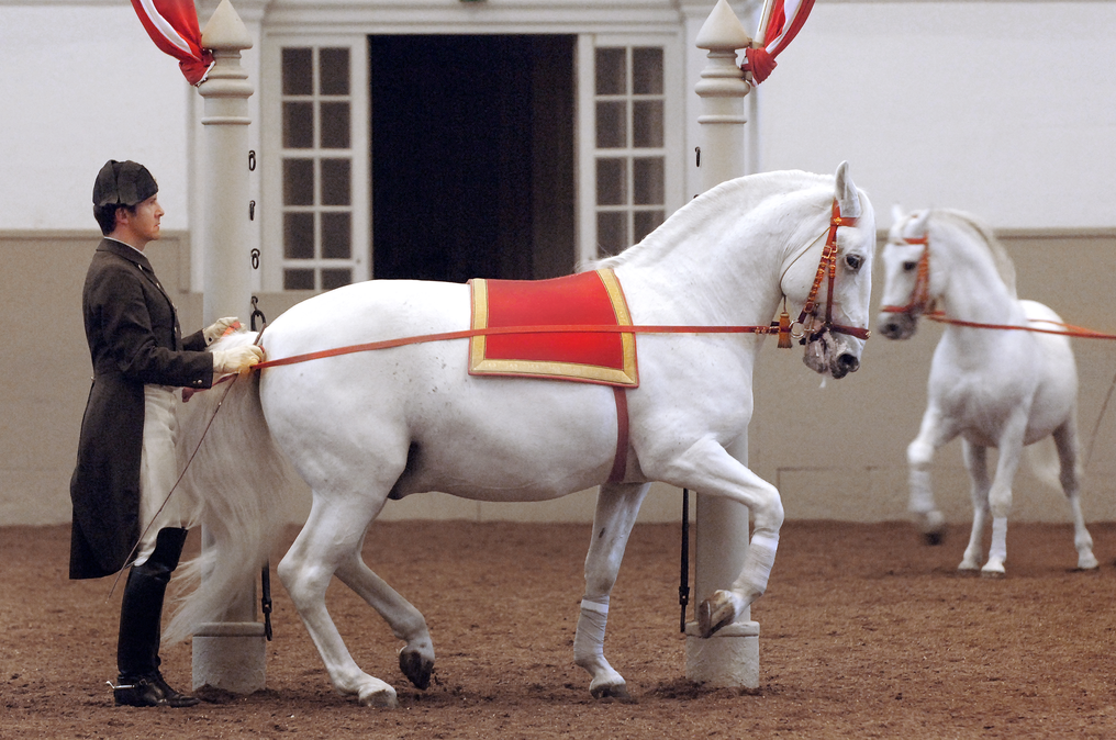 Spanish-Riding-School