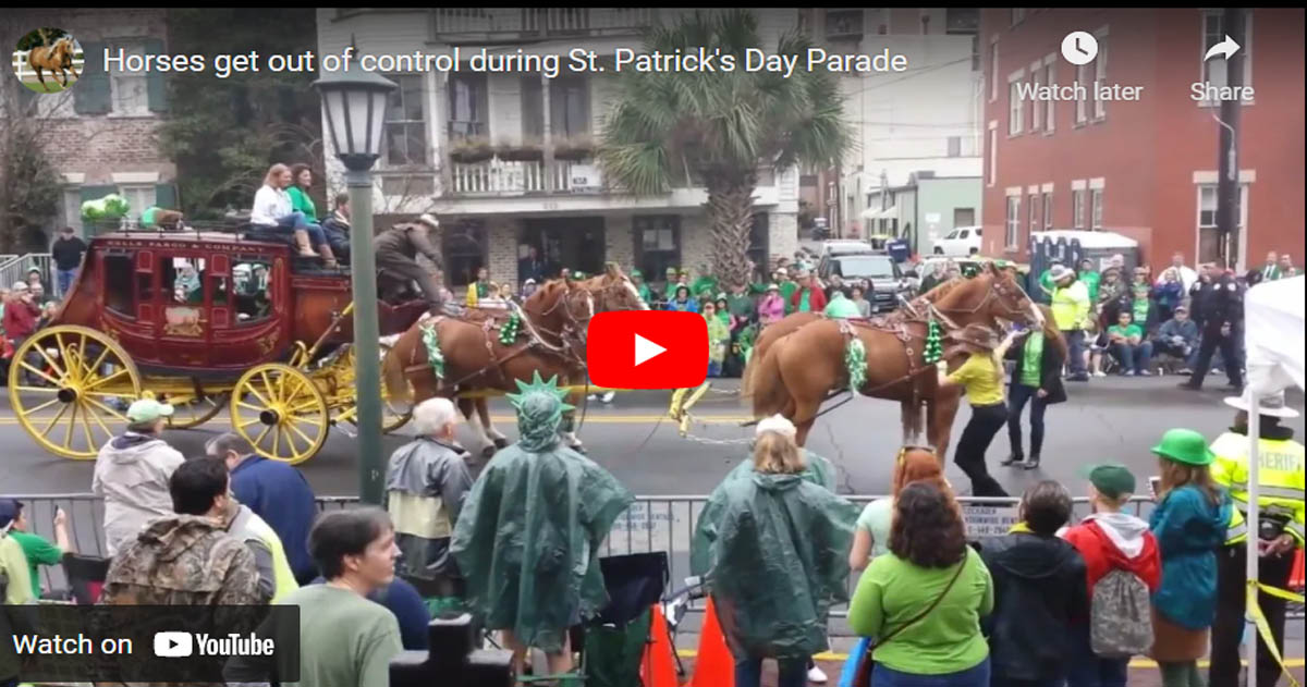 Horses get out of control during St. Patricks Day Parade