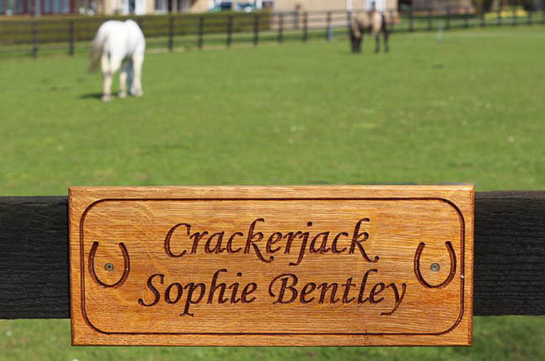 Traditional Stable Plaque Acrylic with Name Only Many Fonts And Colours Plaques1 