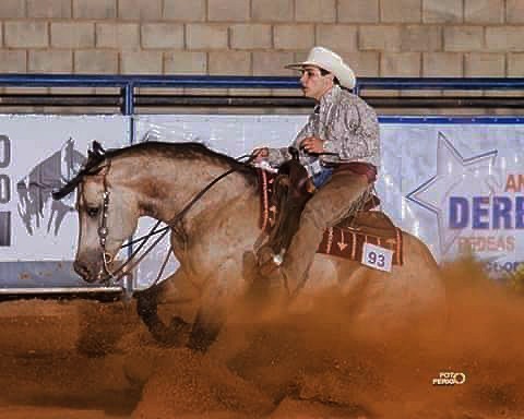 Steppin Off Sparks - Quarter Horse Stallion