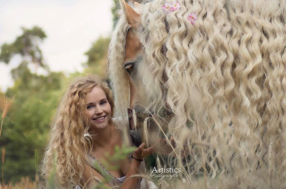 Rapunzel Horses - Stable Express