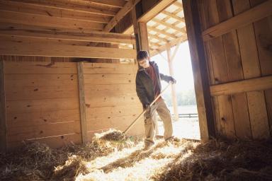 Straw Bedding