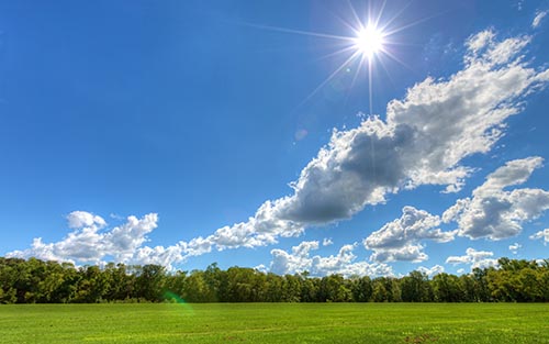 Enjoying Your Horse in the Sun This Summer