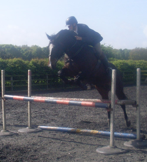 Young Showjumper