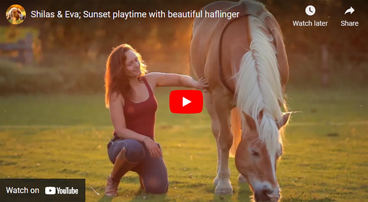 Shilas and Eva; Sunset playtime with beautiful haflinger