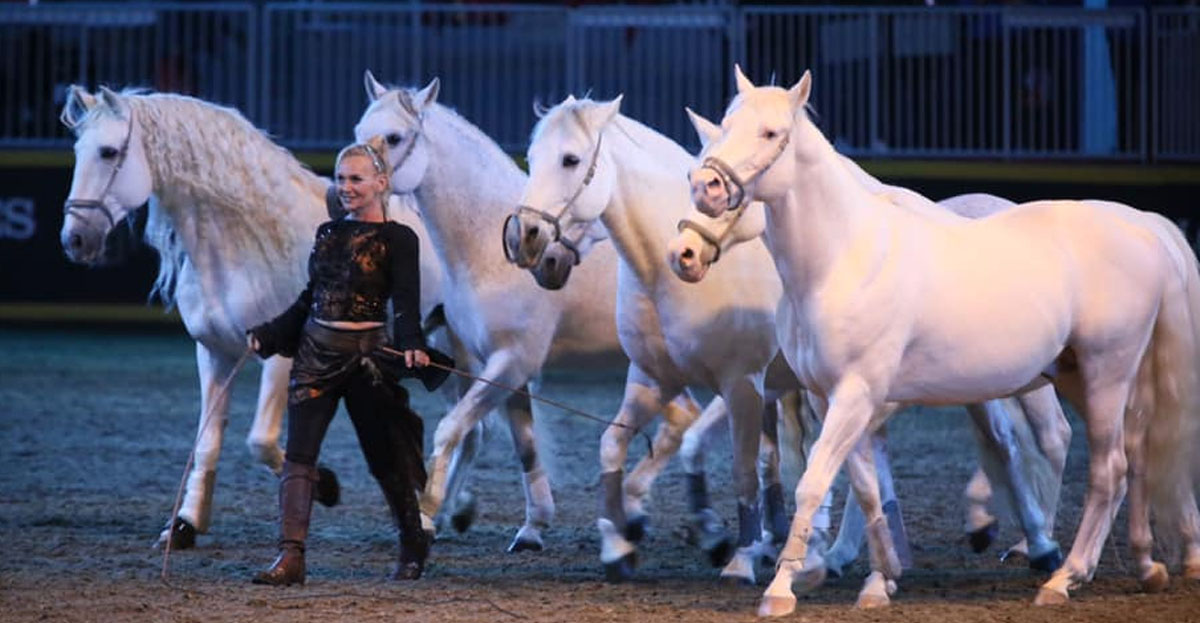 Liberty with 3 Horses - Sylvia Zerbini - Night of the Horse - Del Mar National Horse Show