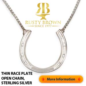 Horse Shoe Necklace