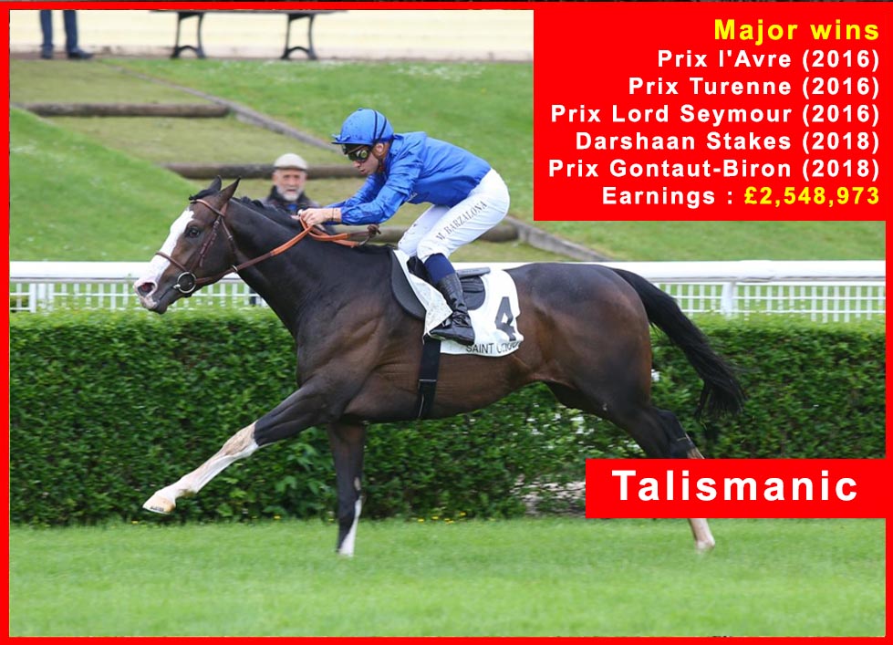 Talismanic - Race Horse