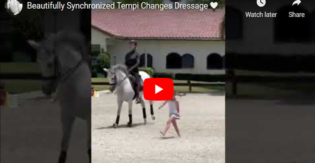 Beautifully Synchronized Tempi Changes Dressage